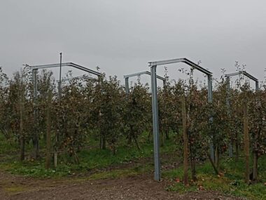 Sisteme montaj panouri fotovoltaice AGRO PV copertina cu 2 stalpi